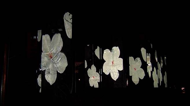 「光影‧绕桐花－桐花光雕秀」影片，将于16日晚间将于文化局粉丝专页「竹县go艺思」线上首播。（庄旻静摄）