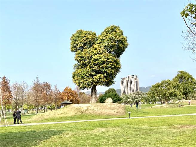 台中市北屯区公园绿地多，房价较亲民，民政局预估近期内人口数即会突破29万人。。（卢金足摄）