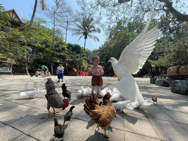 台南新化大坑农场。（摘自大坑农场脸书）