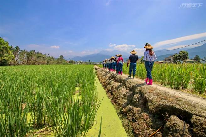 一行人走过田间小路，准备大展身手一番。(图/行遍天下提供)