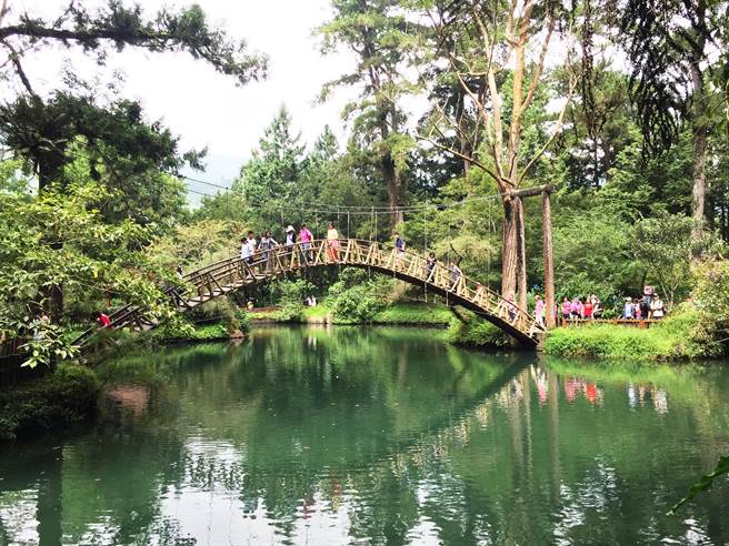 溪头从16日起，加码限定开放在鹿谷乡住宿旅客入园。（廖志晃摄）