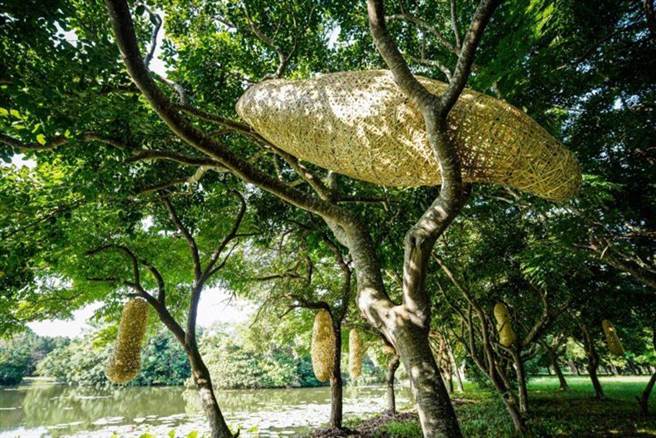 （图／ReadyGo提供）