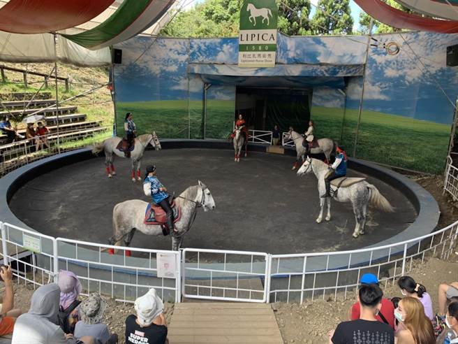 清境农场每天还有2场马术表演，游客不用出国就可欣赏具国际水准精彩的马术秀表演。（清境农场提供／卢金足南投提供）