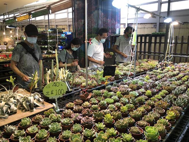 北市建國假日花市17日上午9時恢復營業，北市產業發展局為確保微解封防疫安全，全程督導落實防疫措施。（北市產發局提供／張穎齊台北傳真）