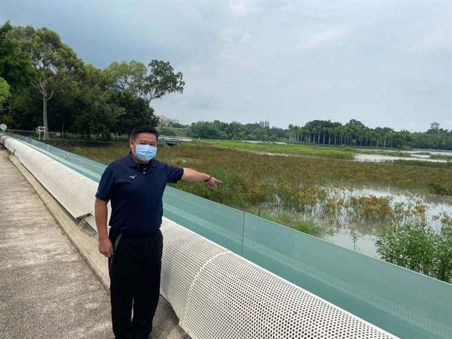 澄清湖像沼泽，苏致荣接获陈情，反应给水公司后，10天内将清淤。（苏致荣提供）