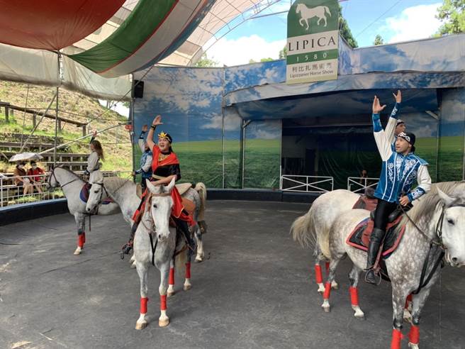 南投县清境农场知名的观山牧区，17日表演马术时，英挺的骏马来自为利比扎马，来自斯洛伐克，斯洛伐克刚赠送台湾疫苗，观眾欣赏之后以热烈掌声表达感谢。（清境农场提供／卢金足南投提供）