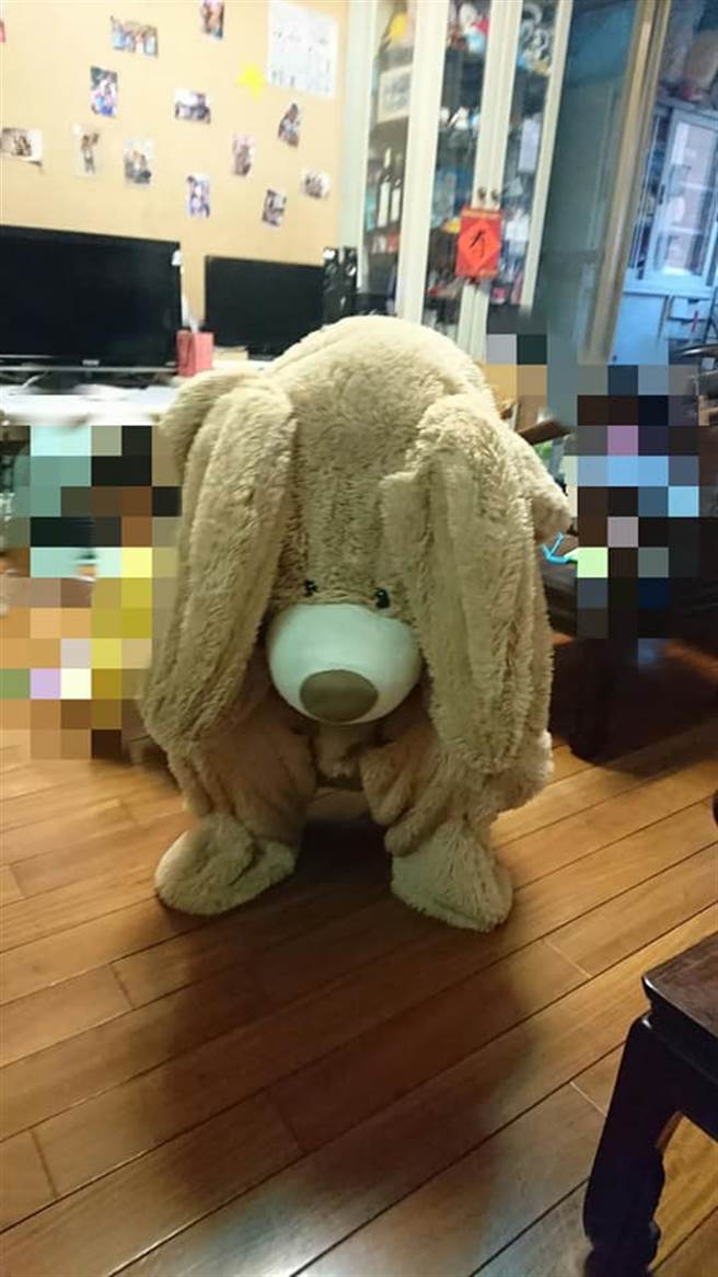 女网友自己还可以钻进去，小孩不乖的时候就扮成熊吓人。(图／Costco好市多 商品经验老实说)