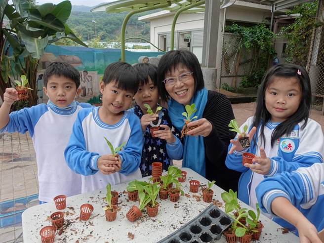 长坑国小学生定植菜苗，享受动手植栽的乐趣。(新北市教育局提供)