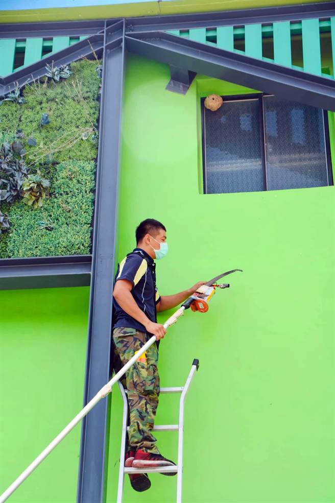 台东县关山镇米国学校外墙出现虎头蜂窝，县府委外厂商派员为民除害。（民眾提供）