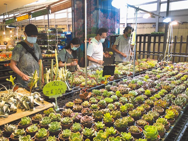 北市建國假日花市17日上午9時恢復營業，北市產業發展局為確保微解封防疫安全，全程督導落實防疫措施。（北市產發局提供／張穎齊台北傳真）