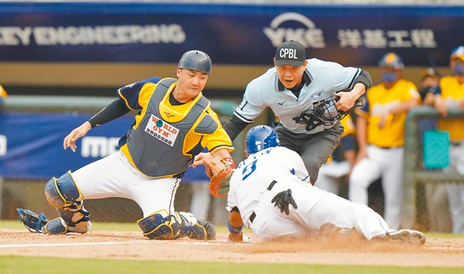 富邦悍将林益全（下）1局下扑回本垒得分，中信兄弟捕手高宇杰（左）触杀不及。（中职提供）