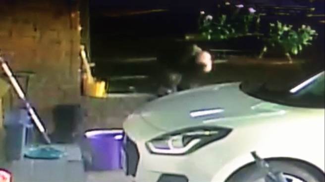 猴子折回抱起南瓜再次翻墙逃离。（黄锡墉提供／李忠一宜兰传真）