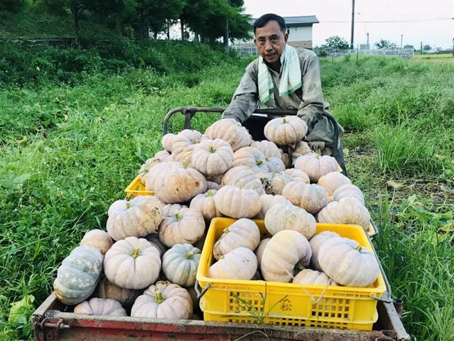宜兰县三星乡前乡长黄锡墉，卸任后务农种南瓜。（黄锡墉提供／李忠一宜兰传真）