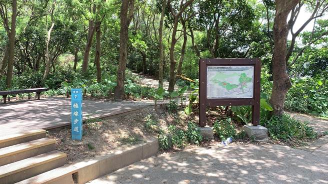 王姓夫妻的子女不放弃持续寻找并求神，终在夫妻俩失联8天后，在虎头山草丛中寻获2人遗体。(翻摄照片／蔡依珍桃园传真)