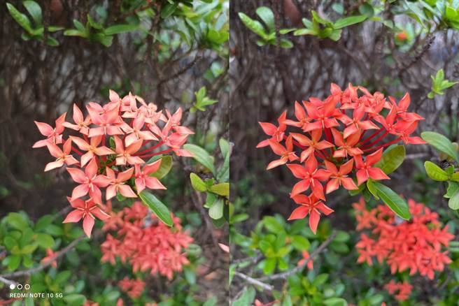 Redmi Note 10 5G（左）与iPhone 12 Pro的日间拍摄对比（2）。（黄慧雯摄）