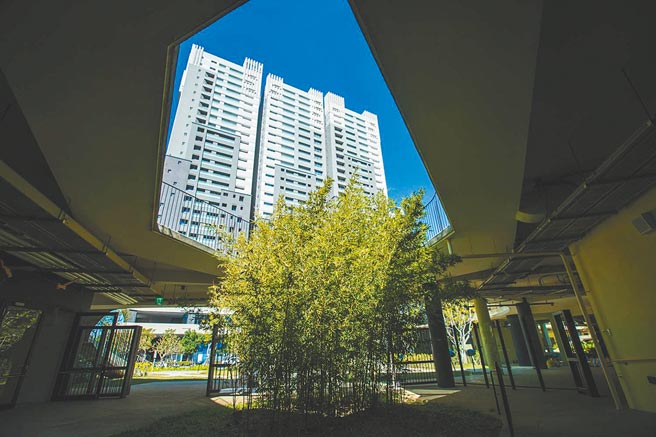 新竹市關埔國小拿下「2021年國家卓越建設獎」綜合成就獎，圖為關埔國小最美五景之一的天井桂竹林。（新竹市政府提供／邱立雅竹市傳真）