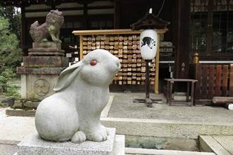 超萌兔子神社在京都 專求子求安產 可愛魅力無法擋