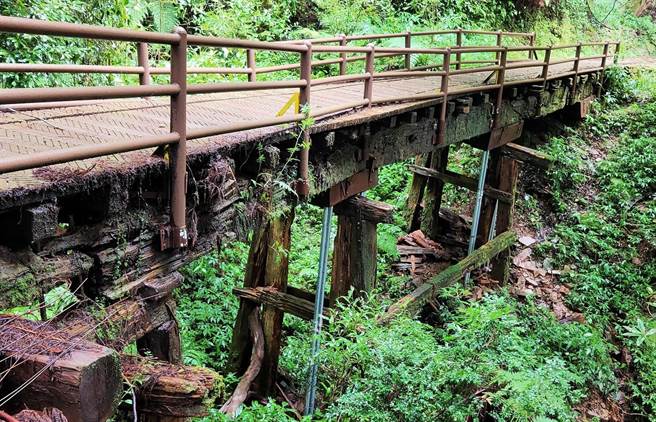 特富野古道老旧桥梁腐朽，现暂以临时支撑补强，接下来将进行整体安全性整修改善，让民眾登山健行更安心。（嘉义林管处提供∕吕妍庭嘉义传真）