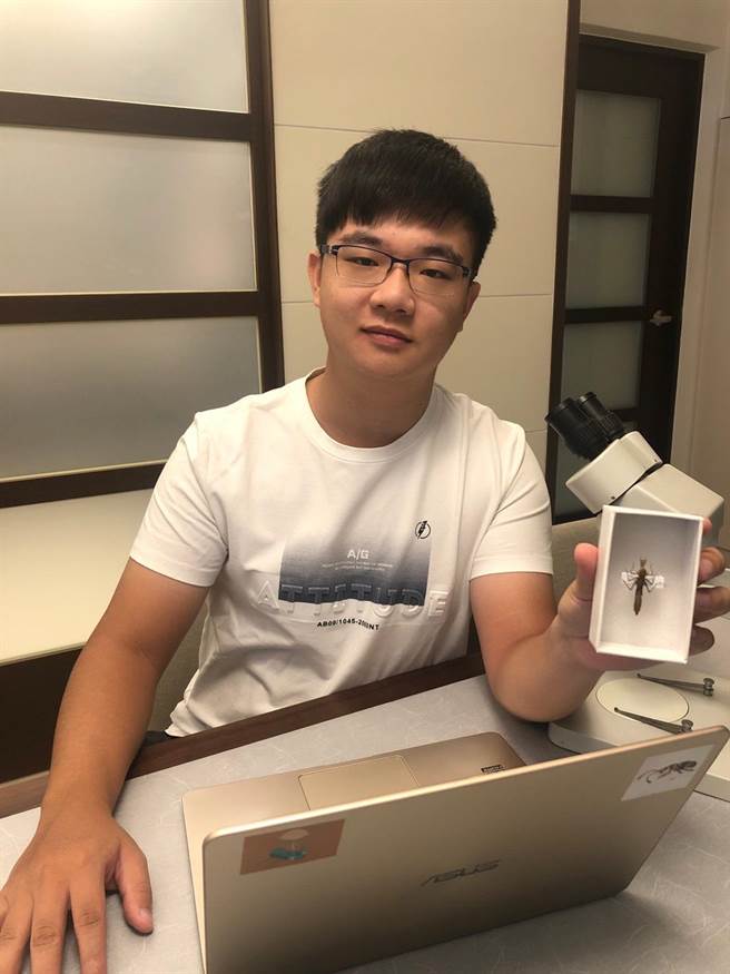 中兴大学昆虫学系大三生胡芳硕 3年来研究昆虫在国内发表15篇国际论文。（兴大提供／陈淑芬台中传真）