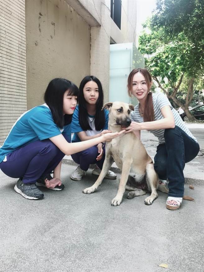 「台北海大范文芳」(中)王宥婷盼各界不要忘記關懷流浪動物。（台北海大提供）