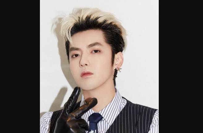 吴亦凡遭中国电视剧制作产业协会点名封杀。(取自吴亦凡工作室微博)