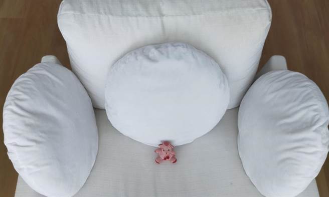 黃文博》一群坐錯艙位的綿羊！（照片來源：作者提供）