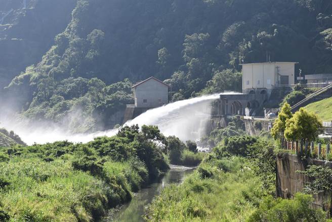 苗栗鯉魚潭水庫21日上午進行2期稻作供灌排水，許久不見的排水畫面再見。（謝明俊攝）