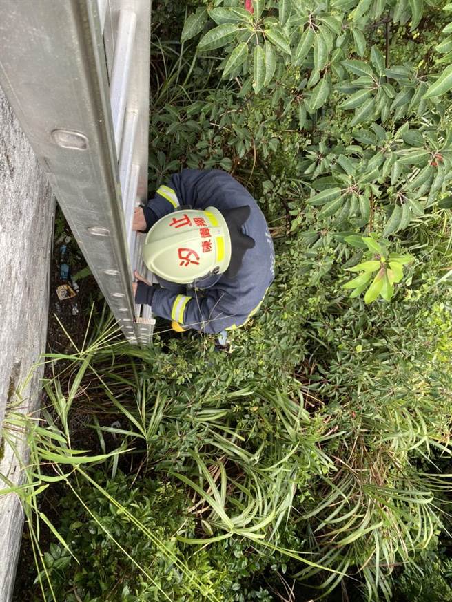 骑士跌落山坡，救难人员正在场救援。（新北市消防局提供）