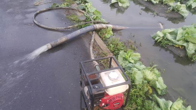 台中市農業局提醒農友做好防災必要措施，如有災損，即依「農業天然災害救助辦法」規定，儘速協助農民復耕。（台中市農業局提供／王文吉台中傳真）