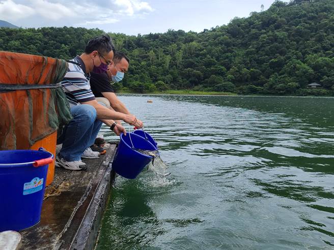 改善花莲县鲤鱼潭水质、减缓降低潭水优养化问题，花东纵谷国家风景区管理处今天再度放流3千尾白鲢鱼苗。（纵管处提供／王志伟花莲传真）