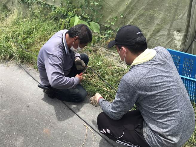 命案现场留有长达100公尺的电线，维修师傅指出，目前铜价高，1公斤达200元，而这批「赃物」约可卖到6万元。（谢佳潾摄）