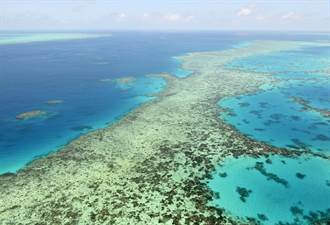 澳洲成功遊說 大堡礁暫不列瀕危世界遺產