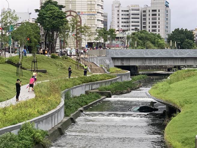 宾士车颱风清晨衝入台中柳川，半沉河中驾驶离奇失踪。(翻摄记者爆料网)