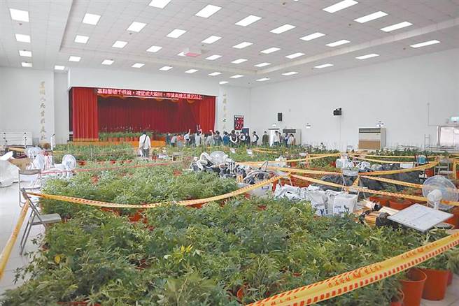 嘉义毒枭种10亿大麻，竟诡辩:基于佛法救癌末病人，遭求处无期徒刑。(中时资料库)