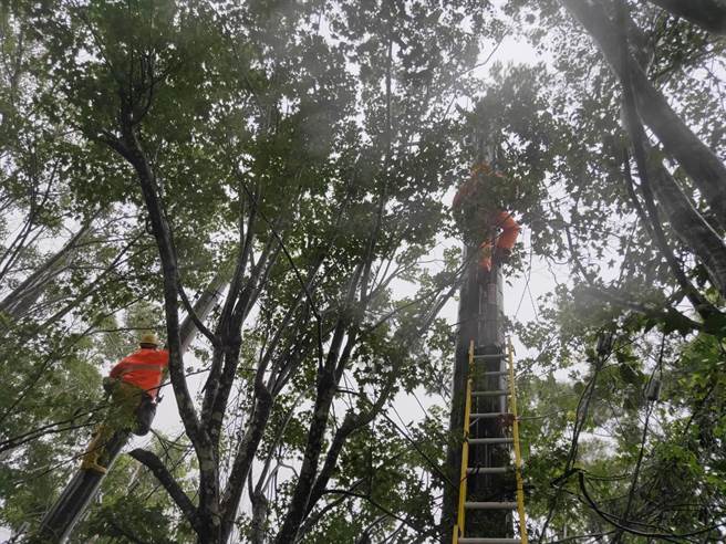 颱风影响桃园復兴区904户停电，台电人员积极抢修当中。(台电提供／吕筱蝉桃园传真)