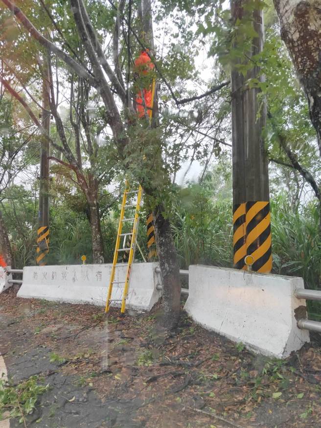 颱风影响桃园復兴区904户停电，台电人员积极抢修当中。(台电提供／吕筱蝉桃园传真)