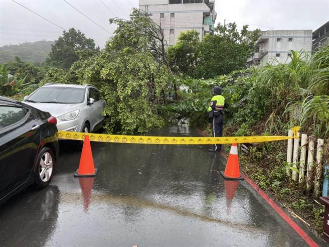 瑞芳路樹倒塌壓到兩輛車輛。（王揚傑翻攝）