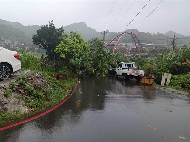 瑞芳路樹倒塌壓到兩輛車輛。（王揚傑翻攝）