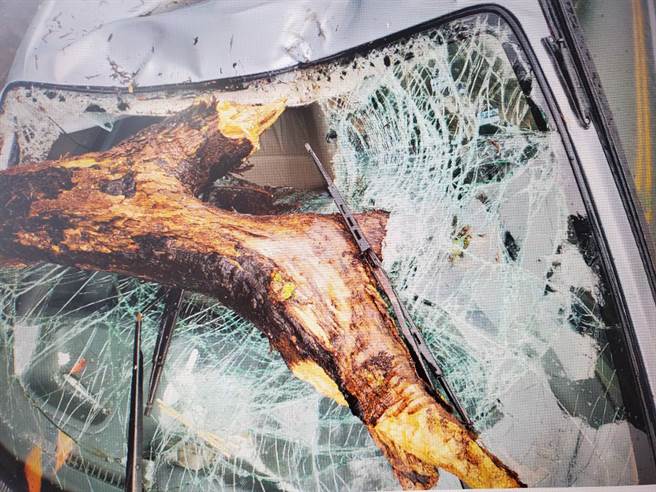 一米长树干刺入驾驶座，苗栗孕妇遇崩塌吓呆。(民眾提供)