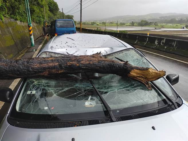 一米长树干刺入驾驶座，苗栗孕妇遇崩塌吓呆。(民眾提供)