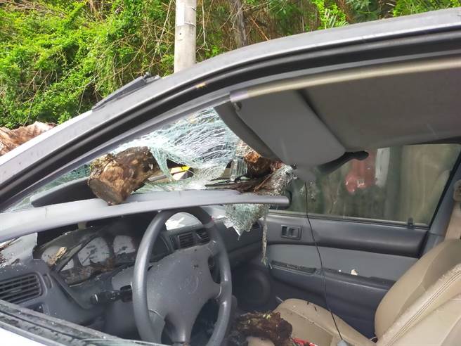 一米长树干刺入驾驶座，苗栗孕妇遇崩塌吓呆。(民眾提供)