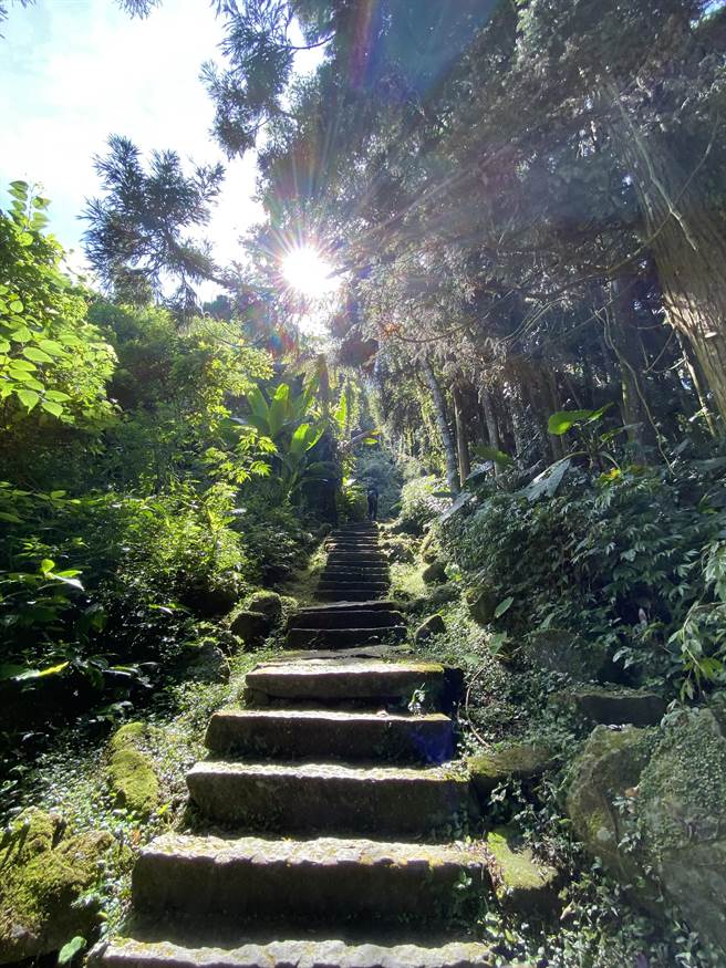 溪頭是避暑遊憩登山勝地。（陳淑芬攝）