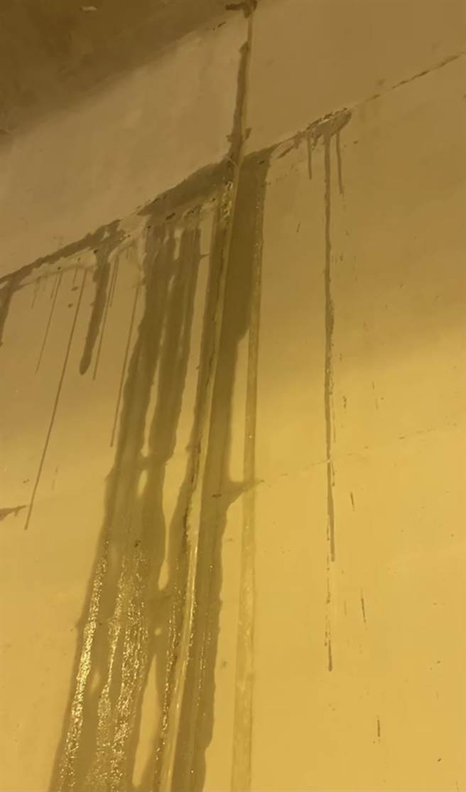 烟花颱风近日来袭，各地发生间歇性强降雨，刚完工不到1个月的淡水区「新民隧道」内竟不断漏水，形成外头下大雨，里面也下起了小雨的窘况（市议员郑宇恩服务处提供／戴上容新北传真）