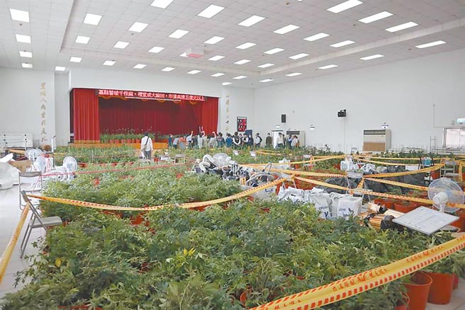 嘉义检警破获史上最大宗大麻制造案，23日侦查终结，依违反毒品危害防制条例等罪嫌起诉。（本报资料照片／张亦惠嘉县传真）