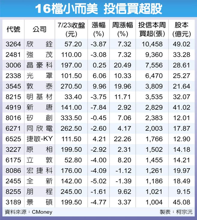 16檔小而美 投信买超股
