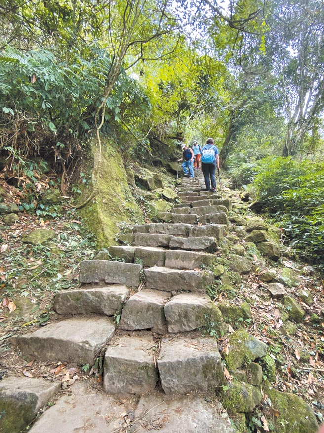 溪头是避暑游憩登山胜地。（陈淑芬摄）