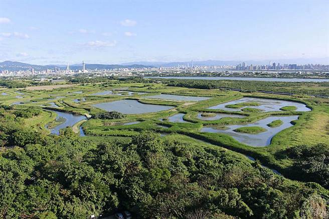 臺北市关渡自然公园 （图/动保处提供）