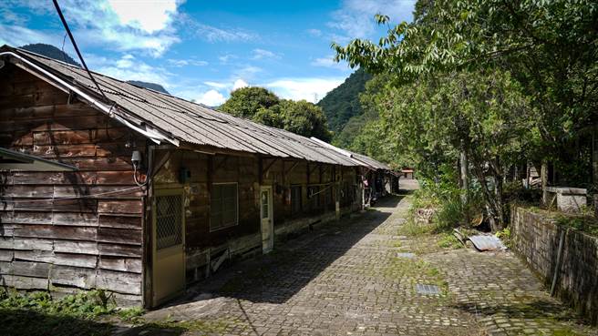 谷關松鶴部落林場巷，適合防疫出遊上山抒解心情。（參山處提供）