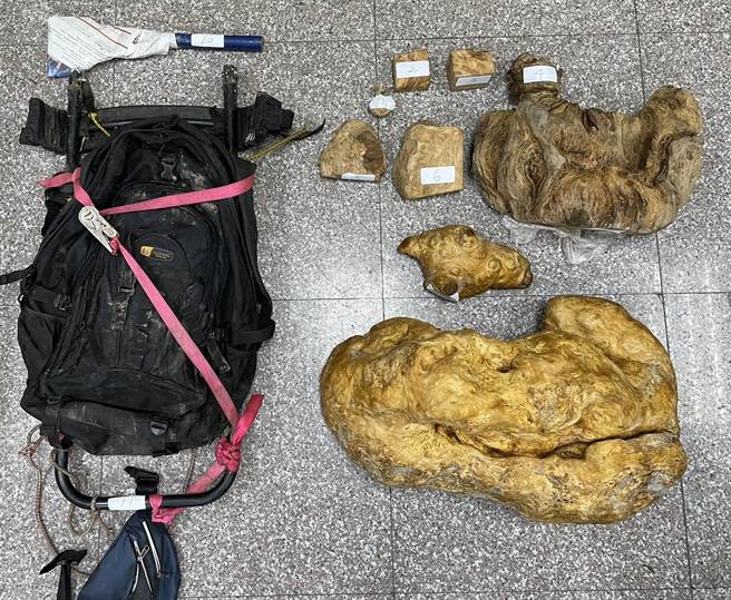 越南籍逃逸移工，在仁爱乡盗取的扁柏及桧木树瘤。（警方提供／廖志晃南投传真）