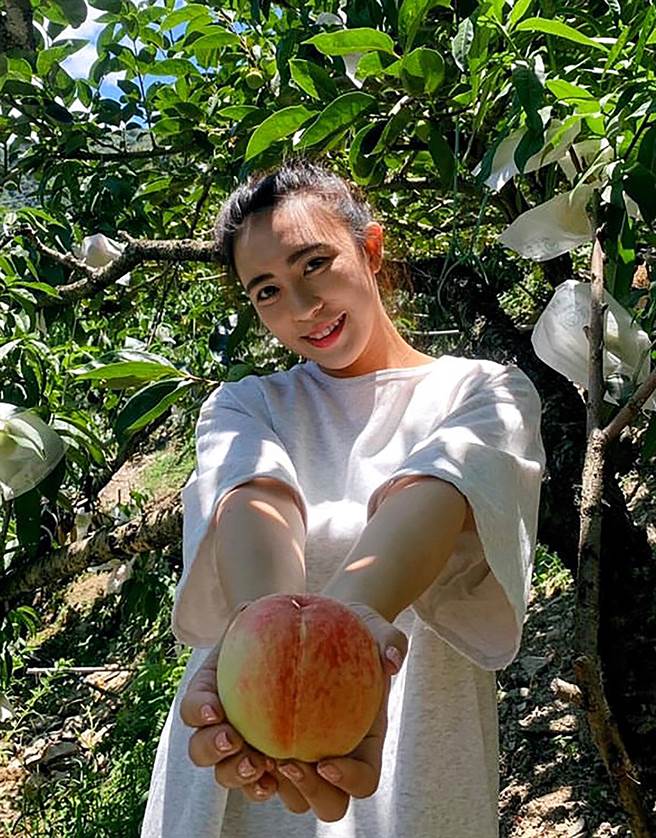 交通部觀光局參山國家風景區管理處27日放寬所轄風景區容流量，並邀請遊客上梨山吃水蜜桃。（參山處提供／黃國峰台中傳真）